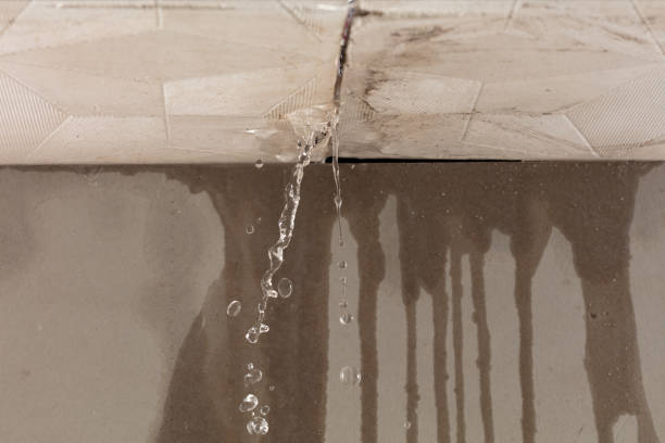 Professional Sewage Cleanup technician working in Monett, MO